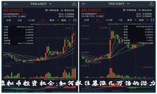 虚拟币投资机会：如何抓住暴涨几万倍的潜力？