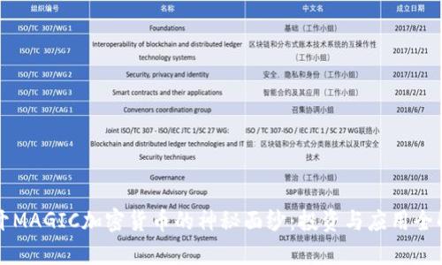 揭开MAGIC加密货币的神秘面纱：投资与应用全解析