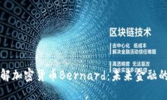 深入了解加密货币Bernard：