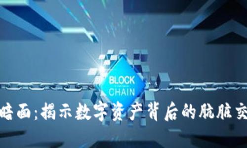 加密货币的黑暗面：揭示数字资产背后的肮脏交易与环境影响