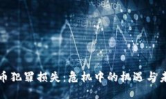 加密货币犯罪损失：危机