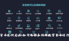 加密货币支付龙头：如何选择和利用数字货币进