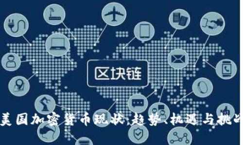 美国加密货币现状：趋势、机遇与挑战