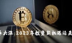 虚拟币屎币大涨：2023年投资新机遇还是泡沫风险