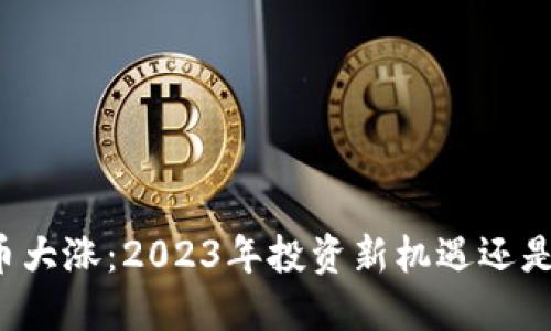 虚拟币屎币大涨：2023年投资新机遇还是泡沫风险？