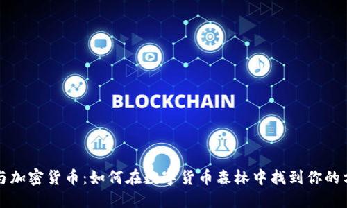 IRS与加密货币：如何在数字货币森林中找到你的方向？