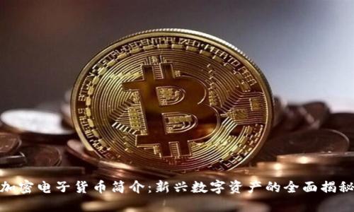 加密电子货币简介：新兴数字资产的全面揭秘