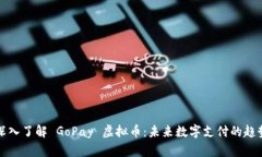 深入了解 GoPay 虚拟币：未