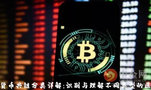 
加密货币共链分类详解：识别与理解不同类型的区块链