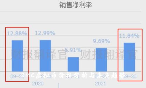 RMC虚拟币价格分析与未来趋势