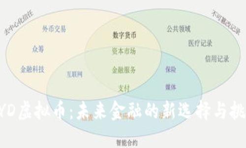 BYD虚拟币：未来金融的新选择与挑战