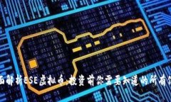 全面解析ESE虚拟币：投资