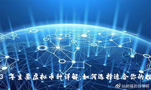 : 2023 年主要虚拟币种详解：如何选择适合你的投资项目