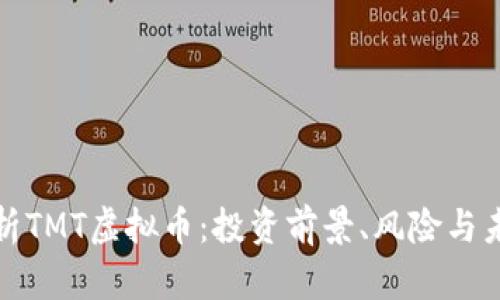 全面解析TMT虚拟币：投资前景、风险与未来趋势